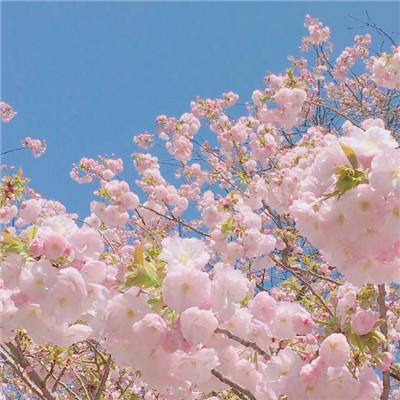 召唤师bt手游下载