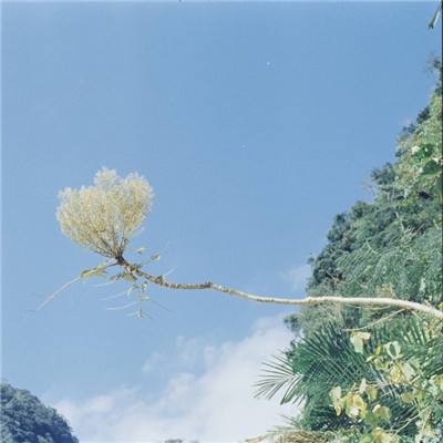 仗剑江湖情缘游戏下载